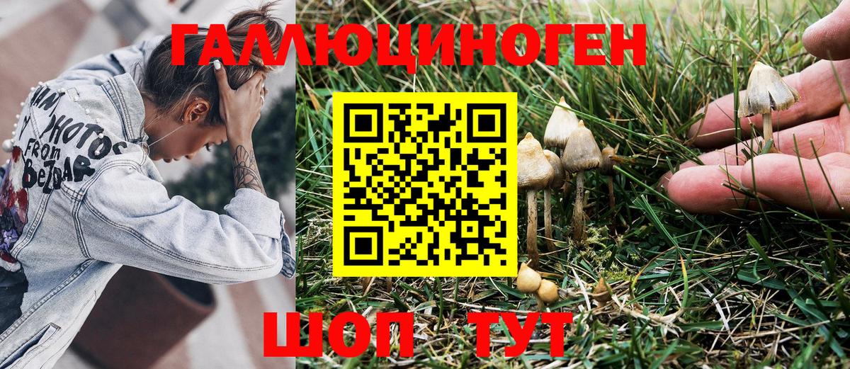 Псилоцибиновые грибы ЛСД  Вход с VPN  Псилоцибиновые грибы Psilocybine cubensis  Владивосток 